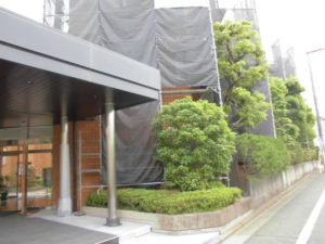 世田谷高級住宅地のせっ器質タイルのマンション玄関